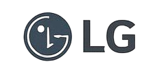 LG Electronics freight client